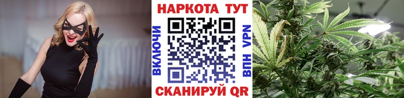 Конопля Сальск