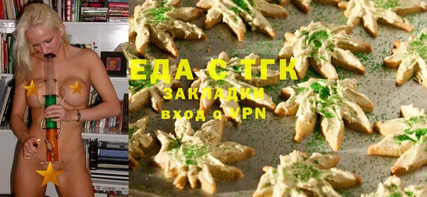 индика Заводоуковск