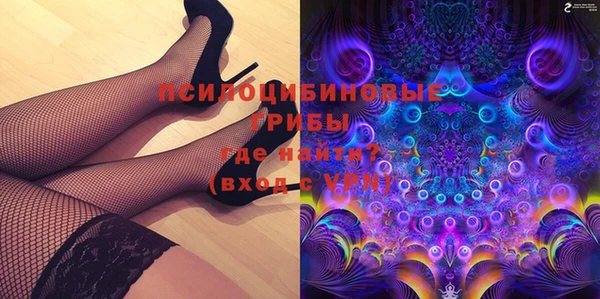 индика Заводоуковск
