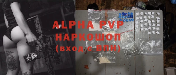 индика Заводоуковск