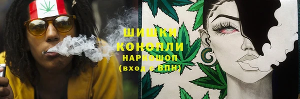 индика Заводоуковск
