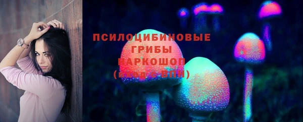 мдпв Заволжск