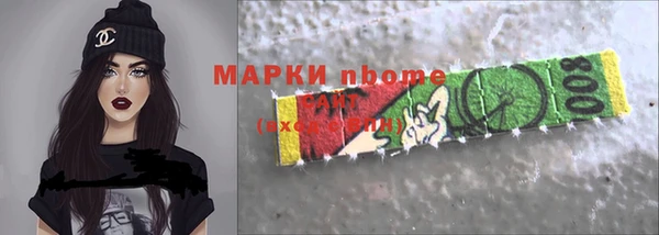 индика Заводоуковск