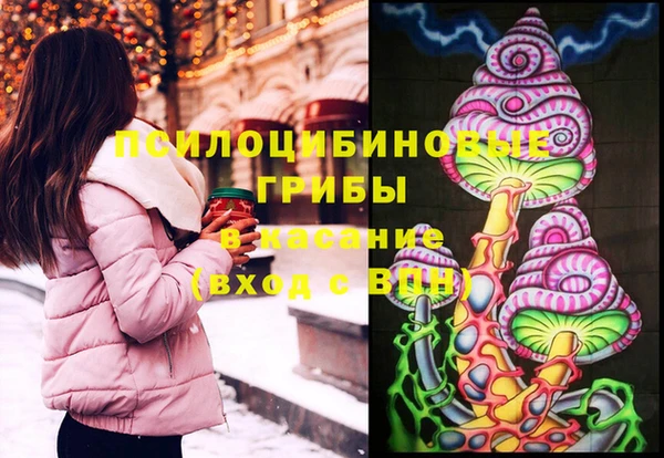 индика Заводоуковск