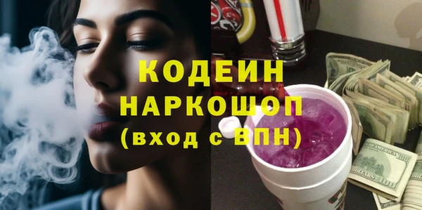 индика Заводоуковск