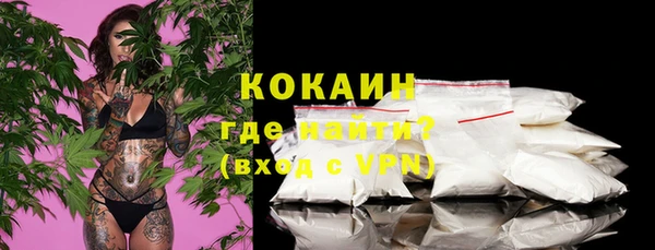 индика Заводоуковск