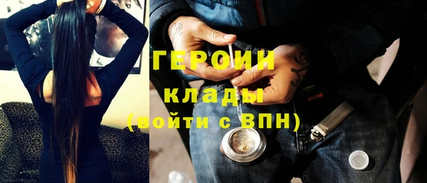 индика Заводоуковск
