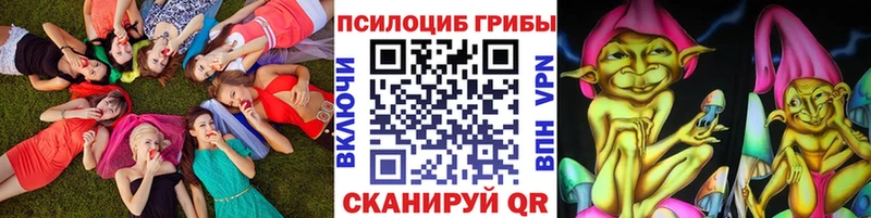 Псилоцибиновые грибы прущие грибы  Купить закладки  Сальск 